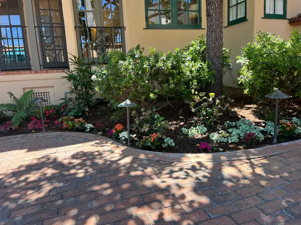 A curved bed along a brick terrace