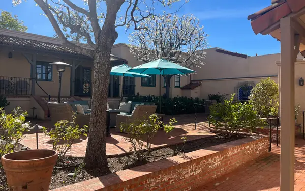 A brick courtyard terrace with terracotta pots, a shade tree and teal umbrellas