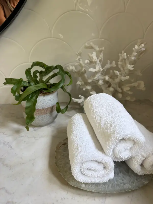A fern on a bathroom vanity