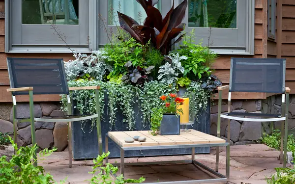 A tall zinc planter of dark foliage, silver trailing plants and orange blooms between two patio chairs
