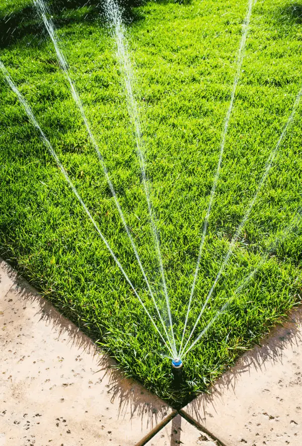A sprinkler fanning water across a green lawn