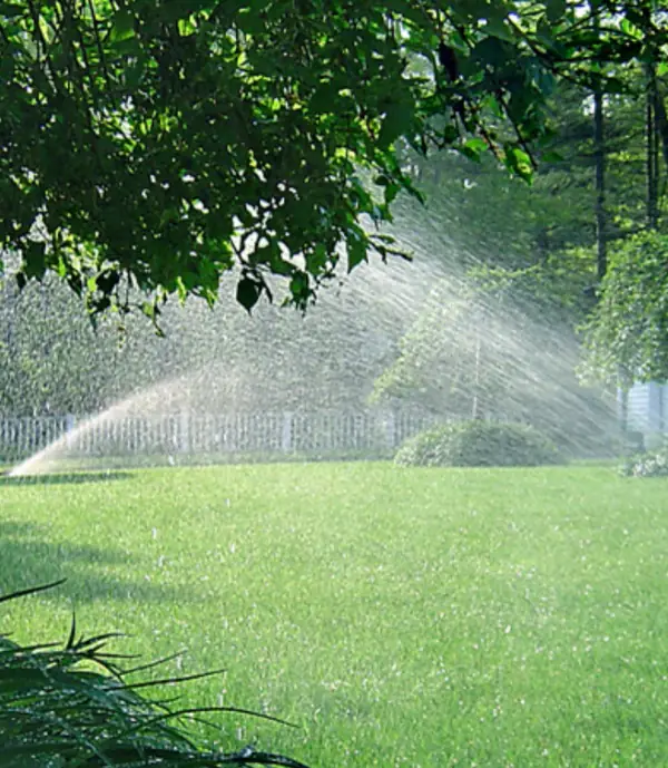 Sprinklers arcing over a lawn under the trees
