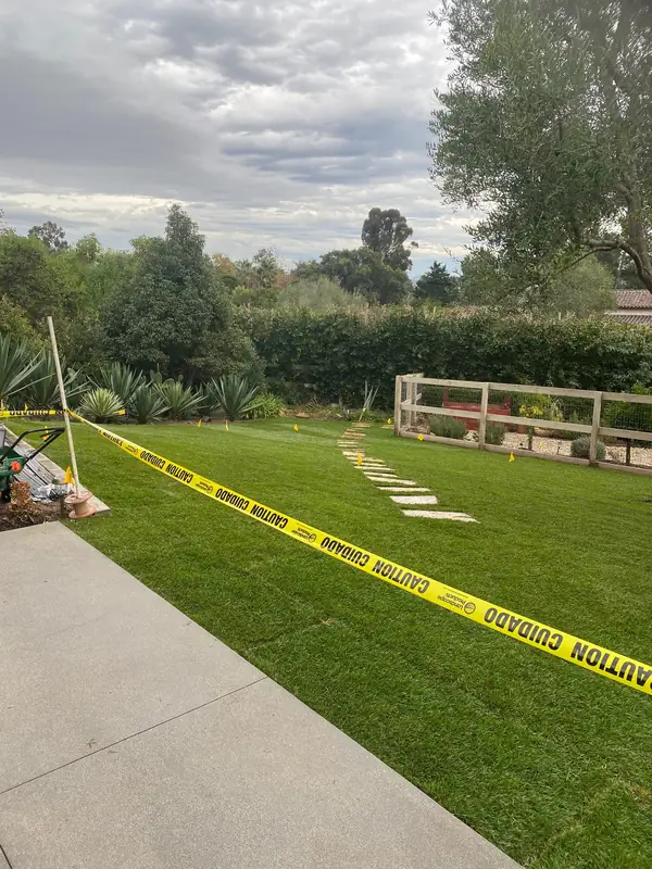 New sod settling in behind caution tape