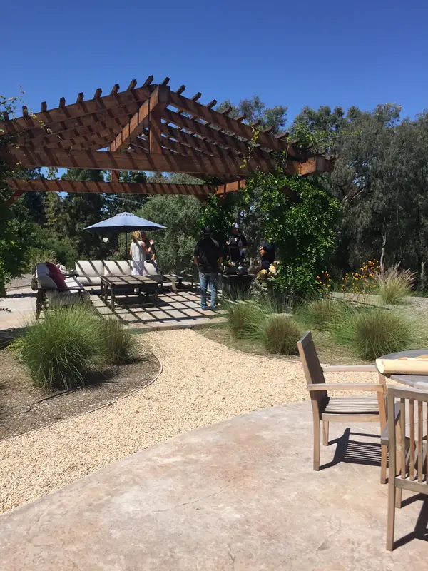 A timber pergola over a gravel garden of grasses
