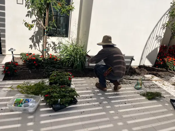 Planting a new bed from flats
