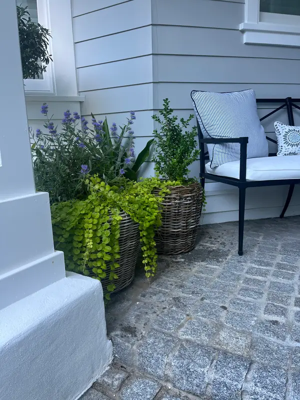 Woven baskets of lavender and trailing greens on a porch