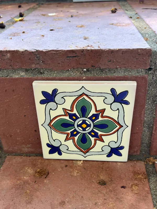 Trying a Talavera accent on the brick step