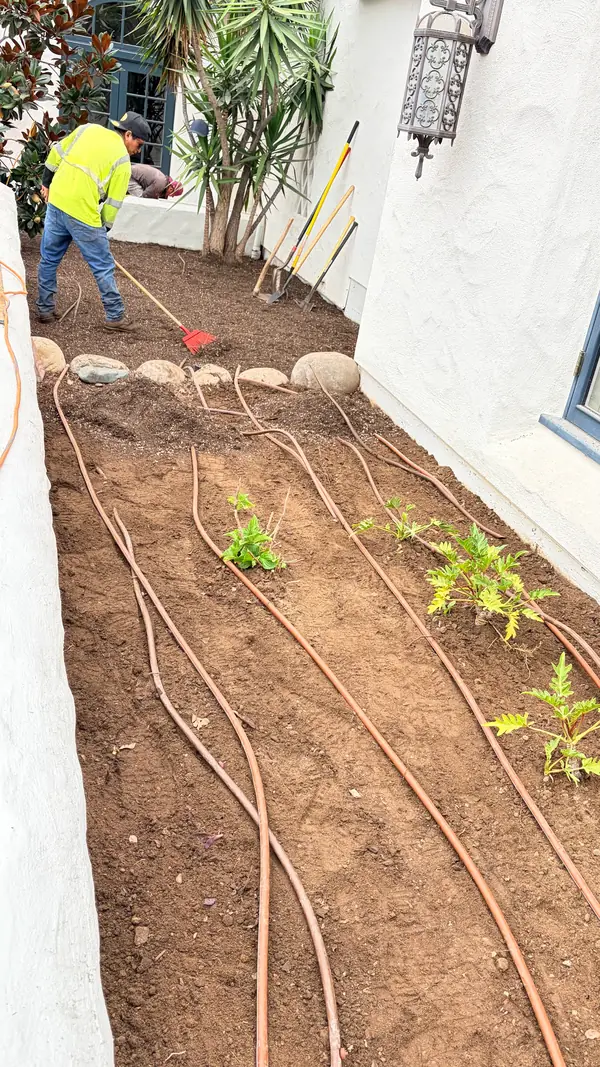 Drip lines laid in a new bed, before planting
