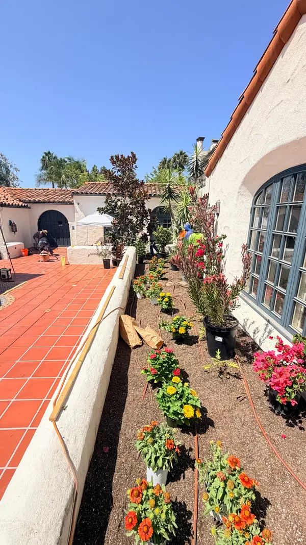 The beds planted along the courtyard wall