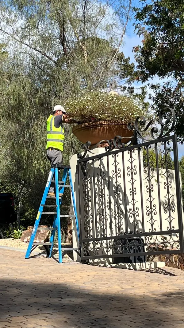 Refreshing a flower urn on a gate pier